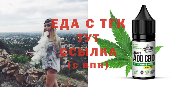 стаф Тайга